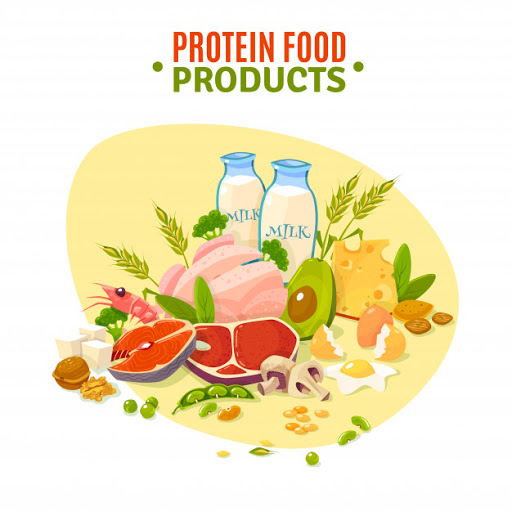 High Protein Foods for Weight loss